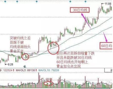 最新黃金股市行情深度解析，把握黃金機會，避免錯失遺憾！