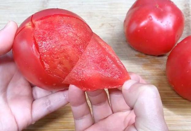 番茄編輯最新聯系方式