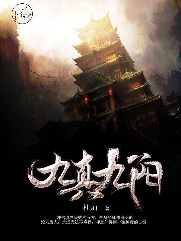 句九真九陽最新章節，小巷中的隱藏瑰寶