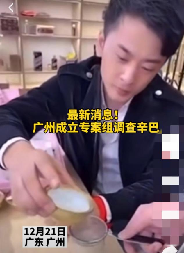 辛巴最新動態,擁抱自然,開啟內心寧靜之旅