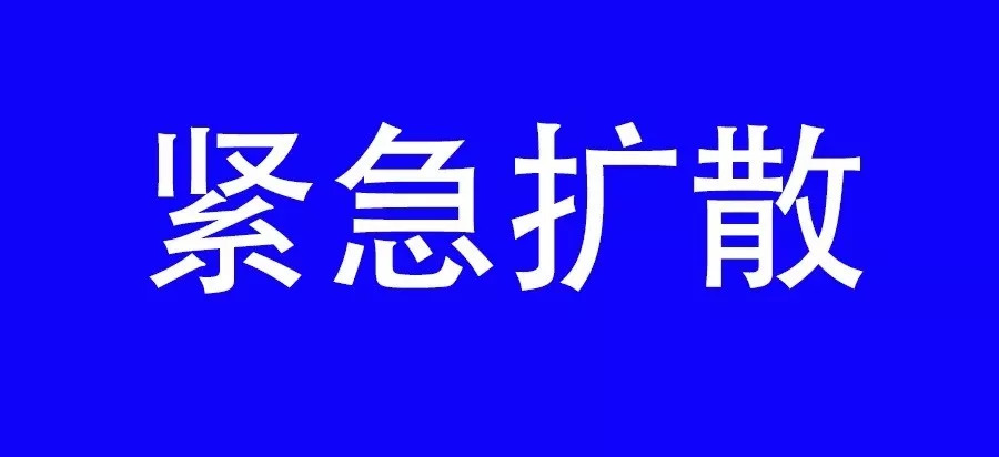 信陽緊急情況更新，小巷深處的隱藏瑰寶揭秘