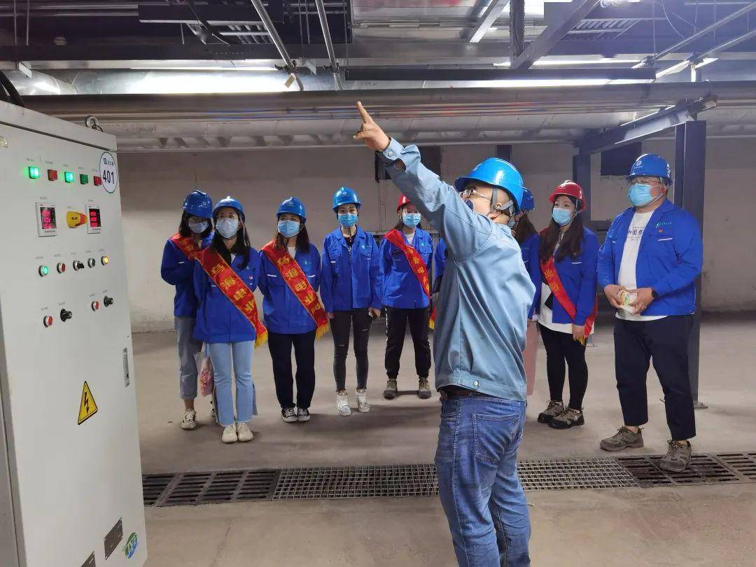 京運通的日常趣事與最新動態,情感紐帶揭秘