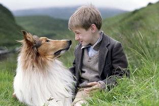 真實(shí)心聲,我不愿成為明星