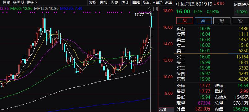 中遠海控股票投資價值深度解析