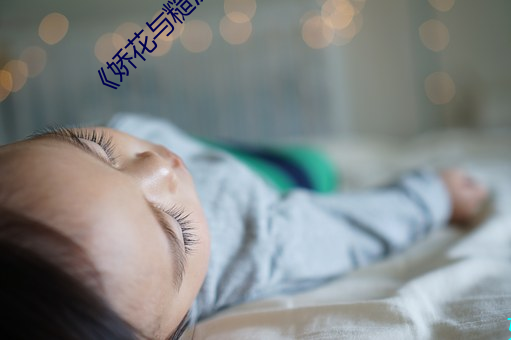 CL最新地址一，探索科技前沿，掌握最新資訊的平臺