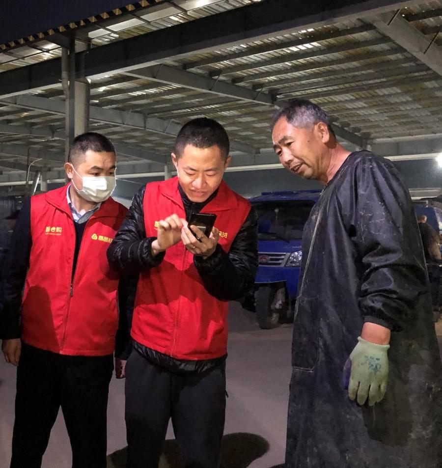 昌邑大姜行情揭秘，故事背后的溫馨與市場動態