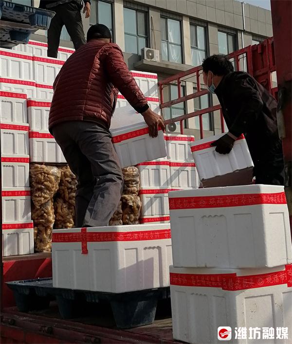 昌邑大姜行情揭秘,故事背后的溫馨與市場動態