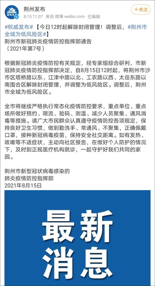 荊州疫情最新動態深度解析，觀點闡述與分析