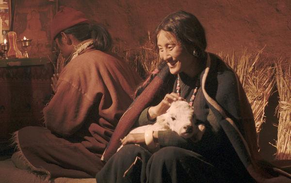 尼泊爾明星,喜馬拉雅之光下的文化瑰寶