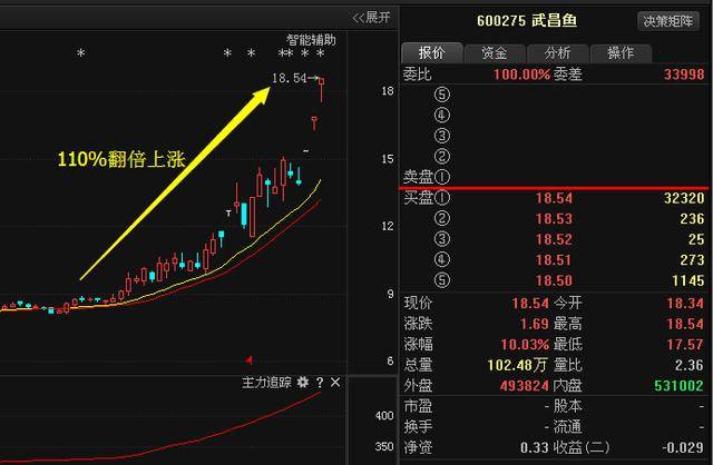 武昌魚重組最新動態,一條魚的奇妙旅程與友情的重生之旅