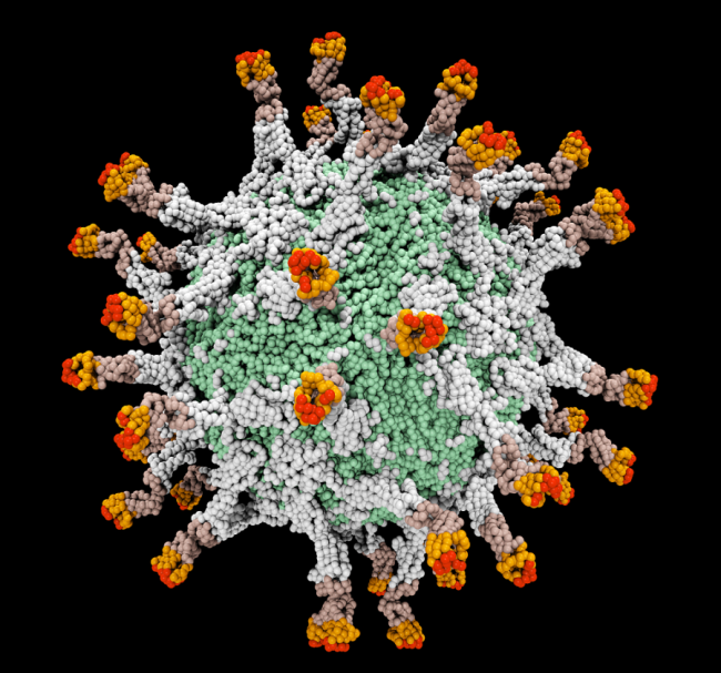 病毒最新動態更新