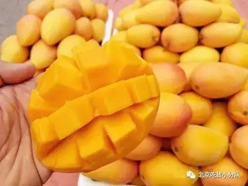 北京芒果行情詳解,選購、鑒別與投資的初學者與進階用戶指南