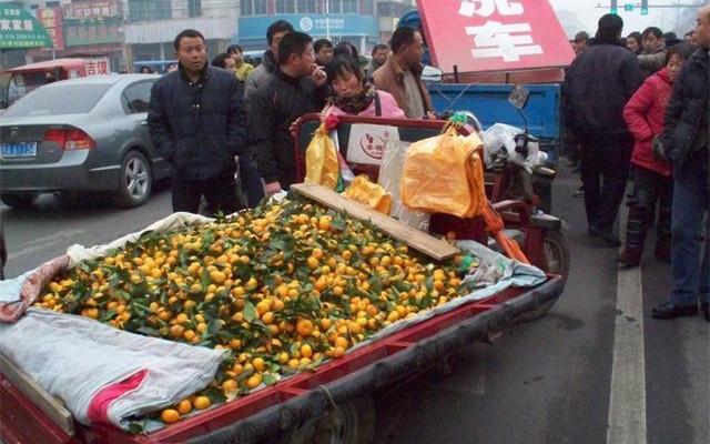 蓮藕市場遇冷，行業變遷與未來前景探析