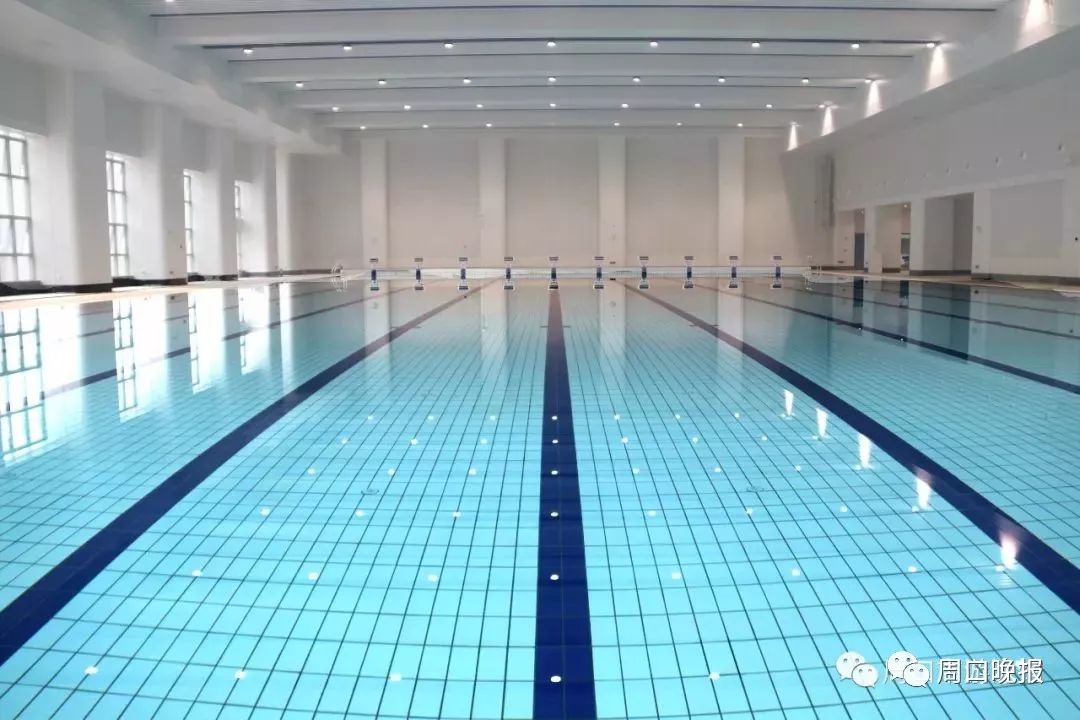 最新泳池消毒技術，保障水質健康與安全