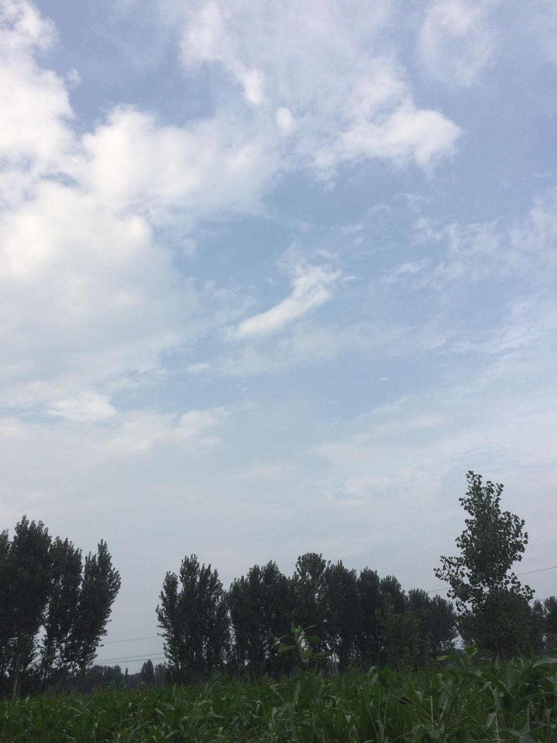 辛集最新天氣預報，多變陽光照亮學習之路