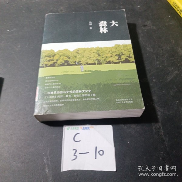 大林森最新作品集,日常陪伴與友情的溫馨記錄