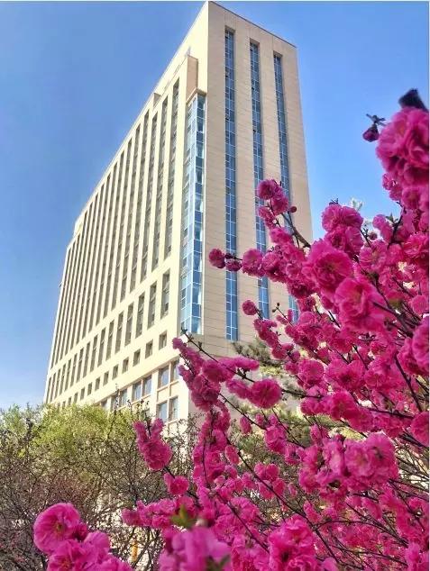 蘭州城市新動態(tài),變化中的學(xué)習(xí)之路,自信與成就感的源泉