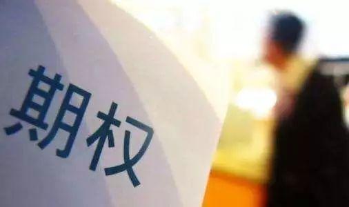 上市前的期權,背景、事件及其影響分析