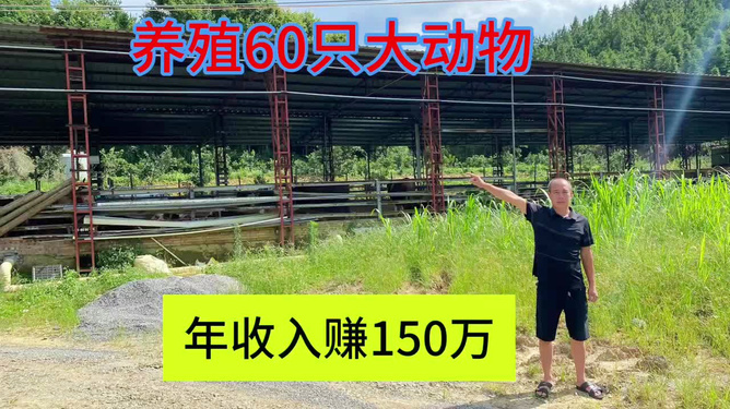 科技重塑畜牧業,開啟智能養殖新時代的最新養殖技術探索