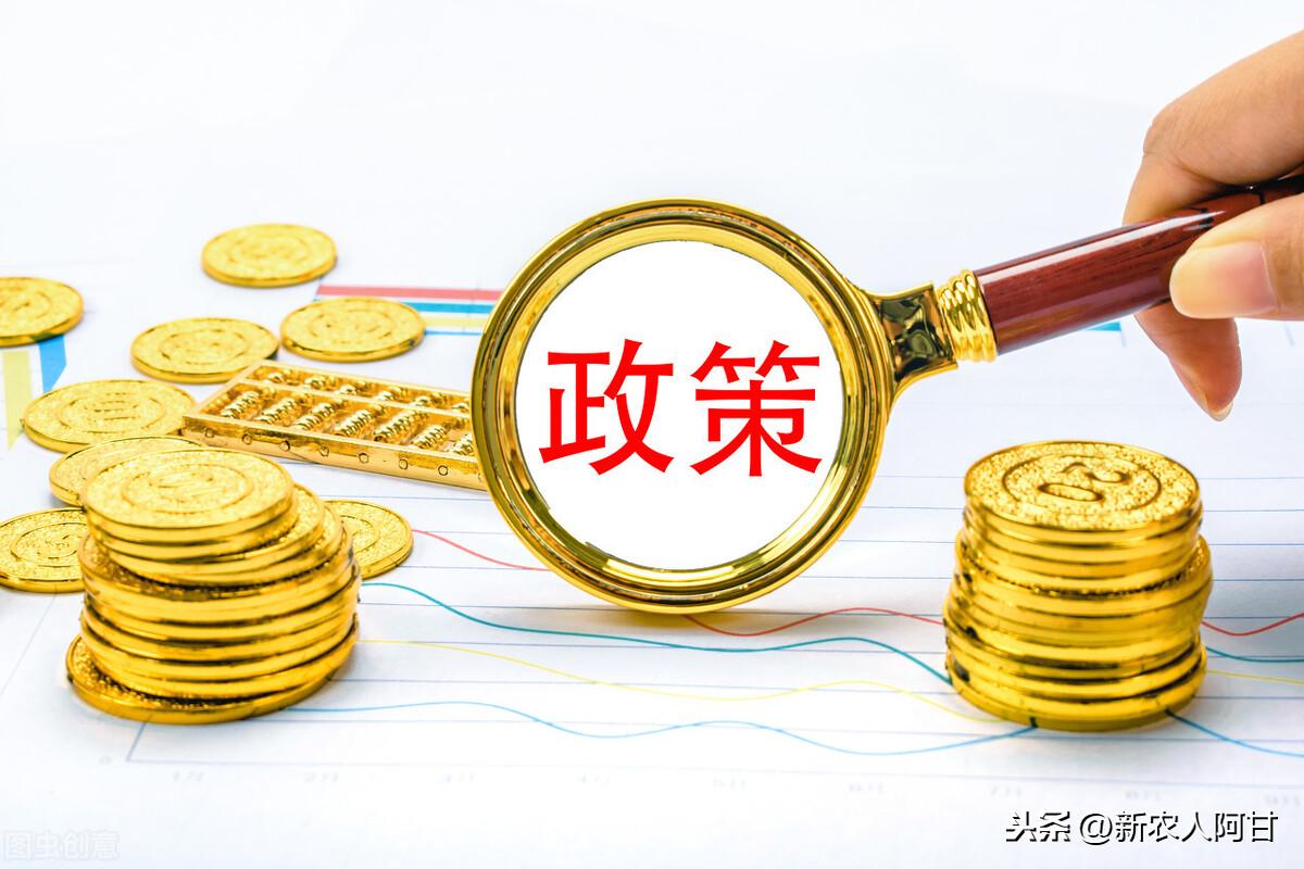 探索小巷獨特小店，最新創(chuàng)業(yè)用地資訊大揭秘！
