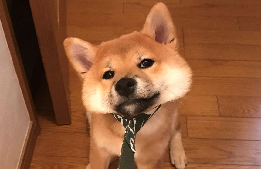 俄羅斯男明星,星光璀璨的時(shí)代巨匠