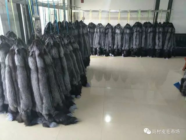 尚村水貂皮毛最新價格，與自然美景的邂逅與內心平和寧靜的追尋