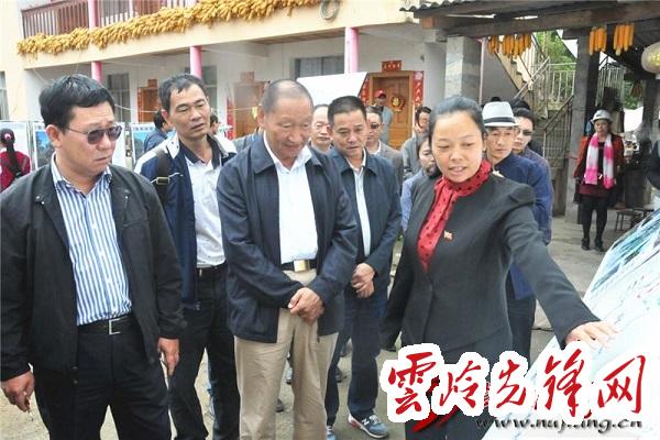 云南羅正富最新動態概覽，最新指南與進展