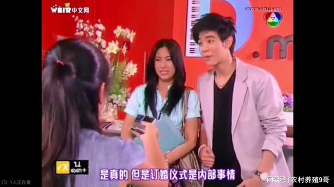 泰劇天之驕子深度解析與賞析,探尋泰劇魅力之源