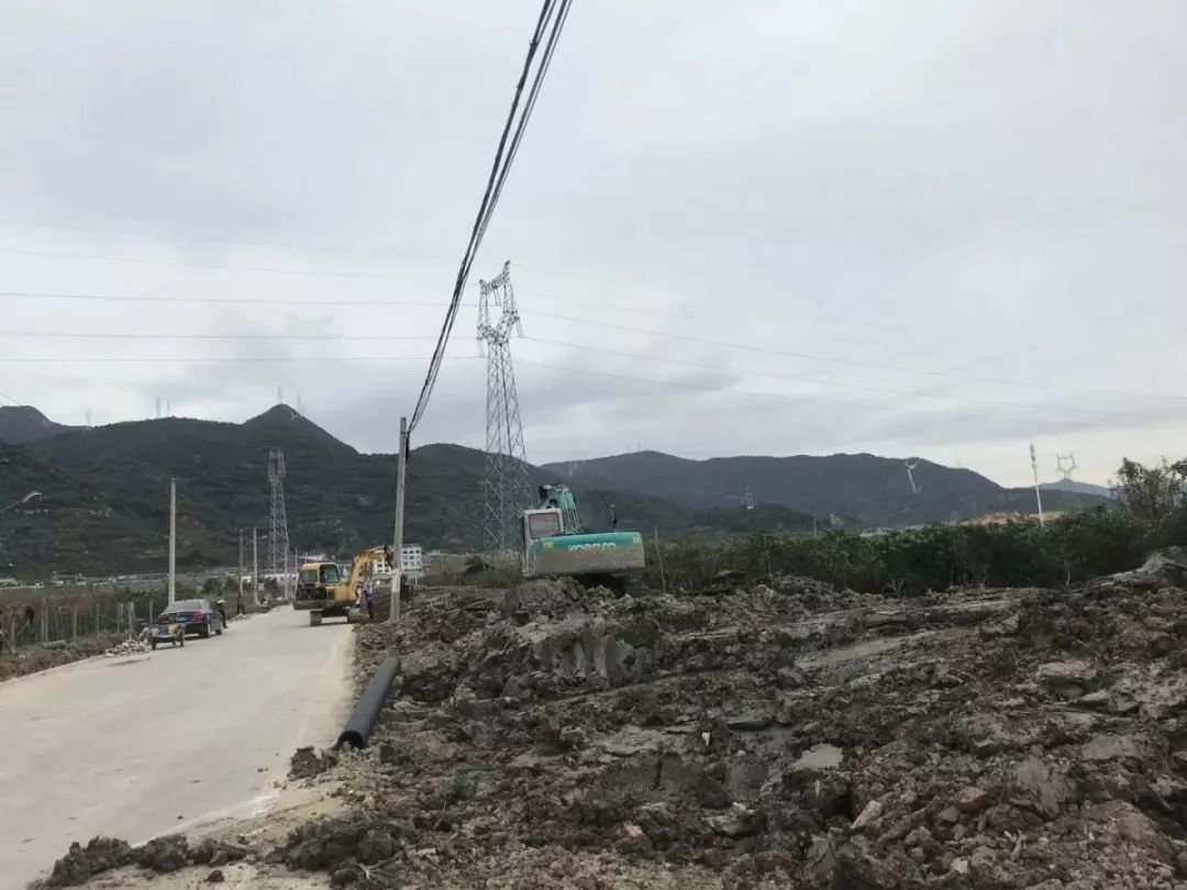 路橋區副區長任命動態揭秘，探尋小巷深處的獨特風味
