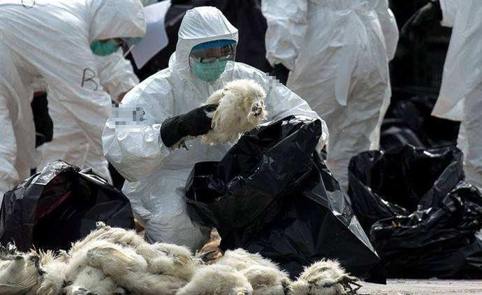 科技新星照亮生活,智能防疫產品體驗之旅在疫情惡化之際的啟示