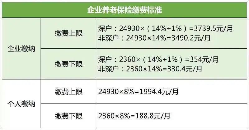 最新繳費(fèi)年月，開(kāi)啟學(xué)習(xí)之路，培育自信與成就感的源泉