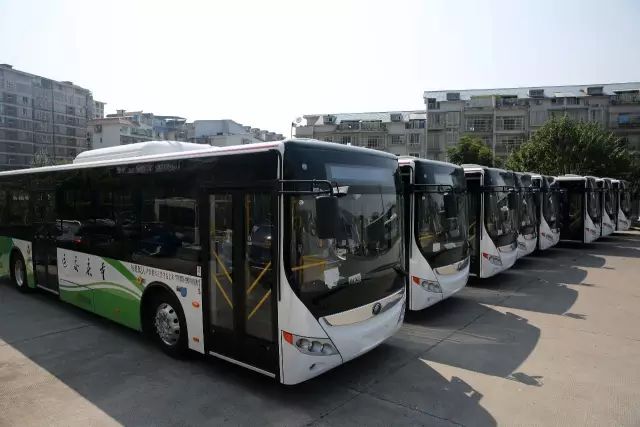 最新客運狀況中的溫馨趣事概覽