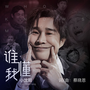 最新懂歌,時(shí)代旋律與文化印記的融合