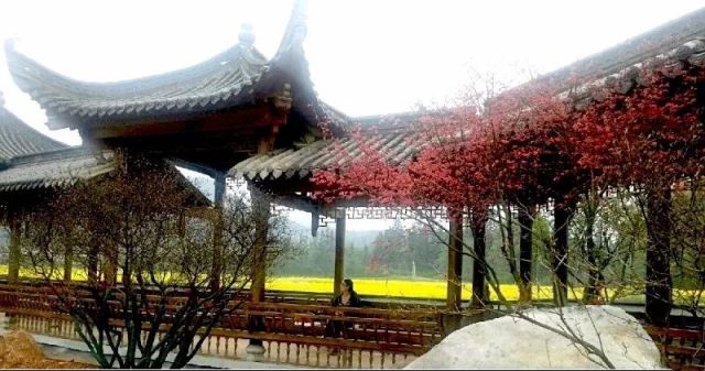 婺源最新別墅,時代背景下的矗立豐碑