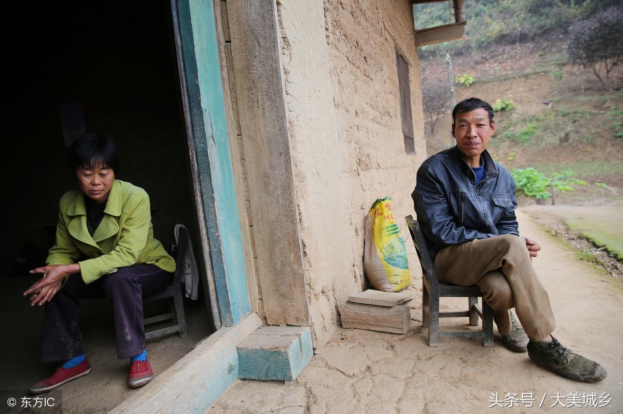 梅子鎮,自然美景的探索之旅,尋找內心的平和與喜悅