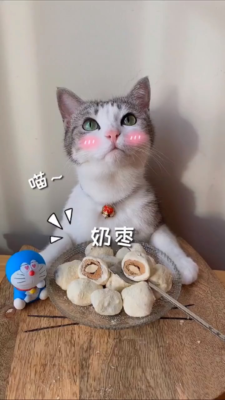 最新聲控喵，自然美景探險(xiǎn)之旅，尋找內(nèi)心的平和與寧靜