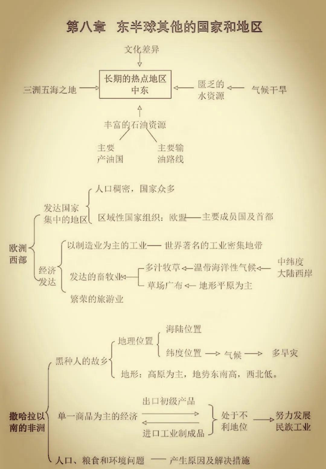 初中地理與友情的探索之旅，奇妙旅程揭秘