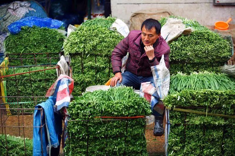 最新菜花行情與小巷美食探秘