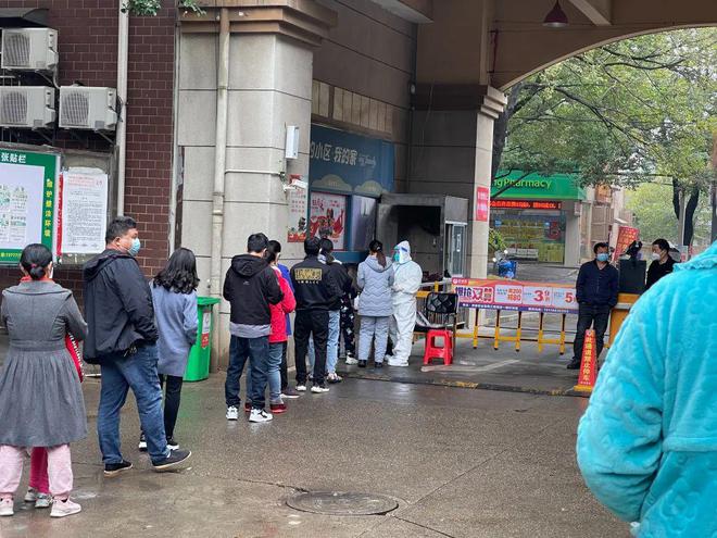 常德最新疫情動態與探索自然美景之旅