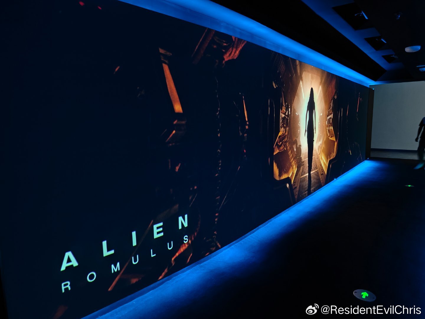 武漢異形,背景、事件與地位揭秘