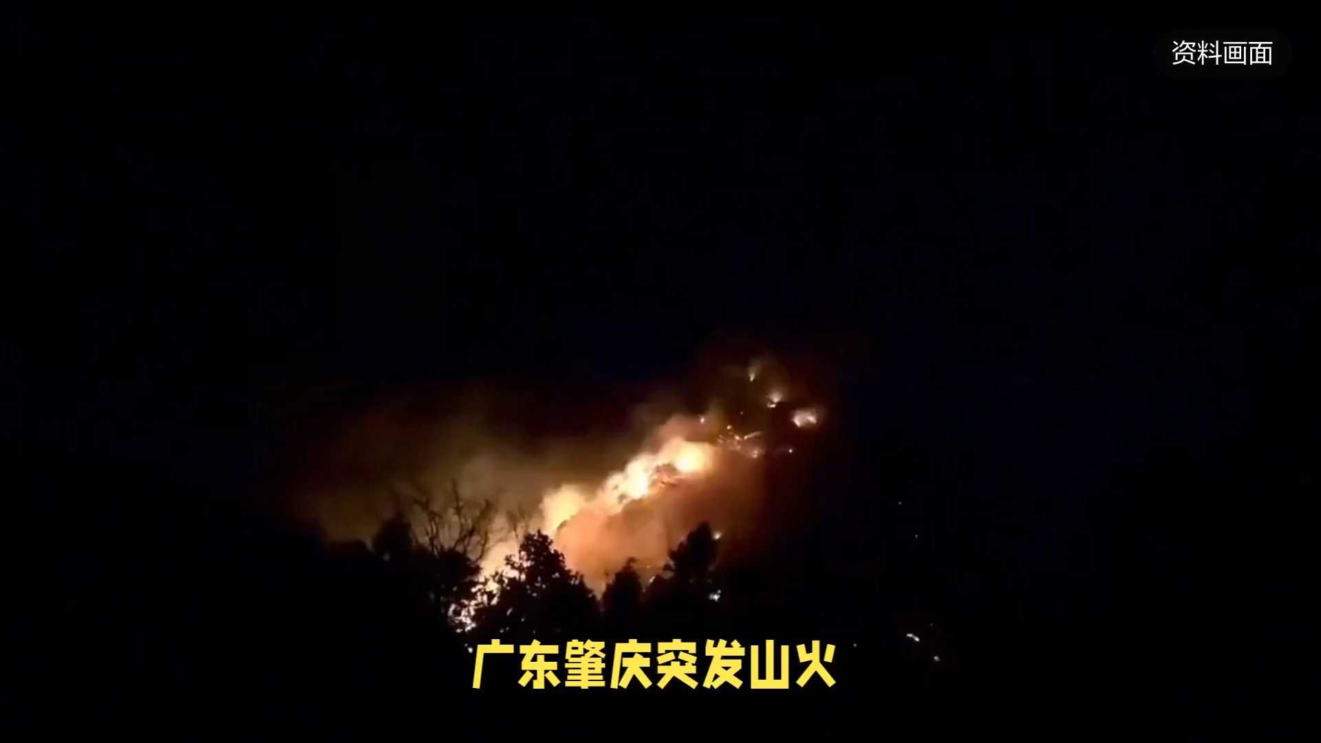 肇慶火災最新情況概述與論述文分析