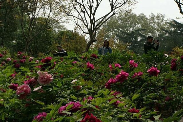 洛陽天氣實時更新，最新氣象報告發布