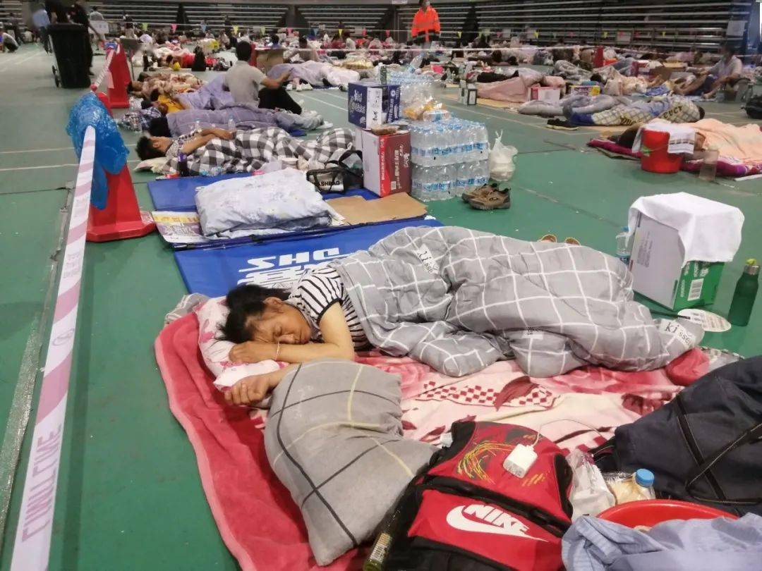 舟山乘風(fēng)破浪，揚帆起航，與時代共舞的新篇章動態(tài)更新